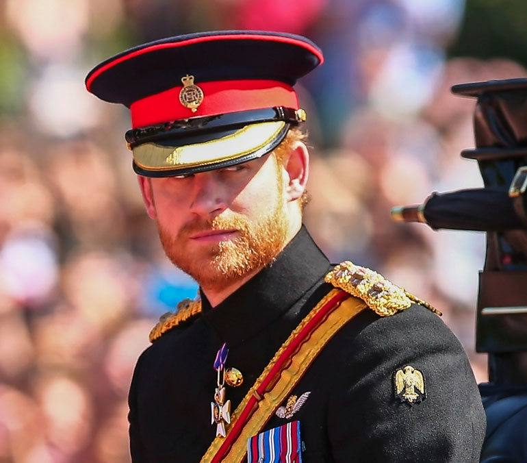 prinssi harry ei halua olla kuningas prinssi harry ei halua olla kuningas