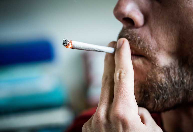 Kannabista tutkittiin jälleen. Kannabista tutkittiin jälleen.