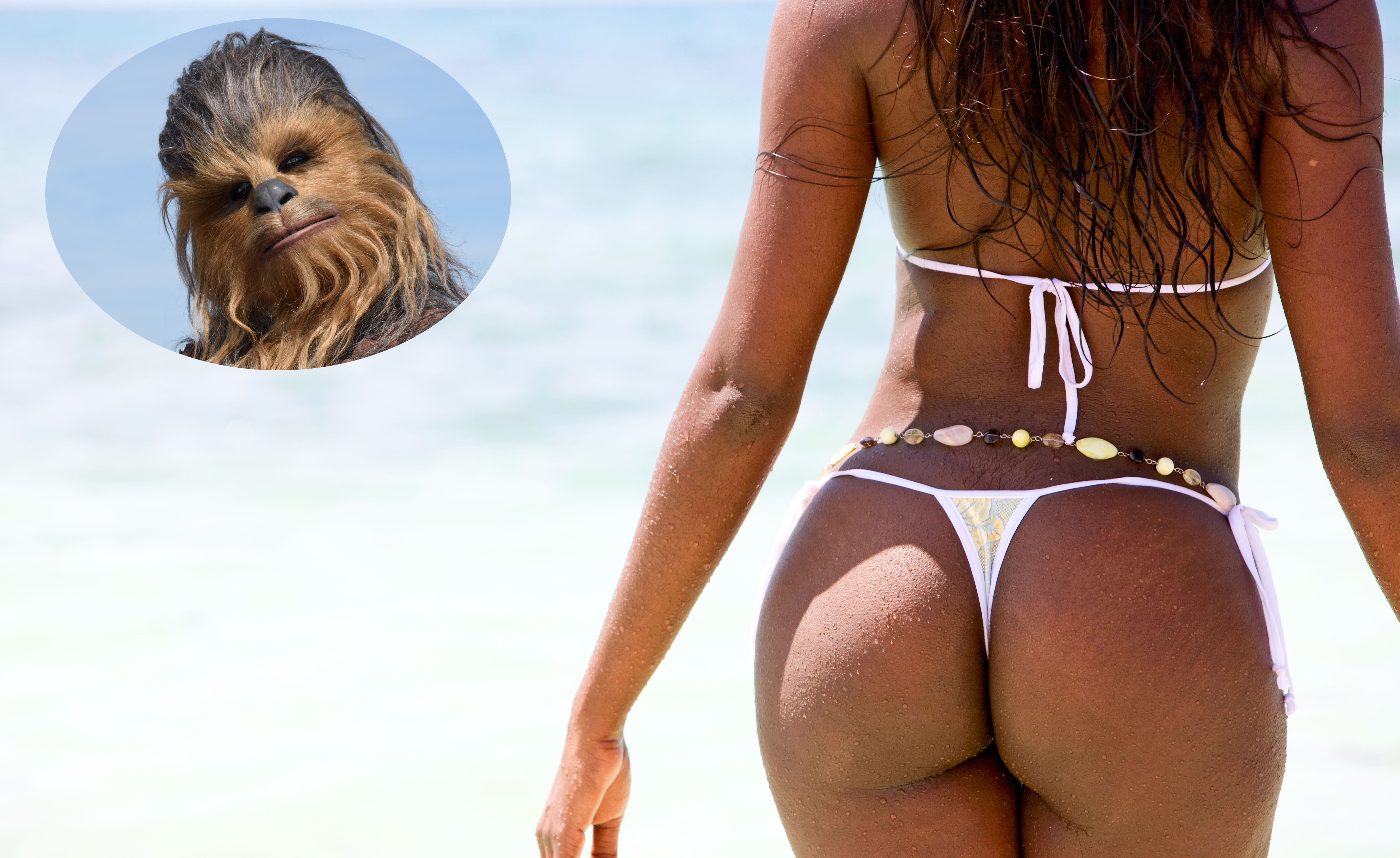 Chewbacca osallistuu juhliin! Chewbacca osallistuu juhliin!