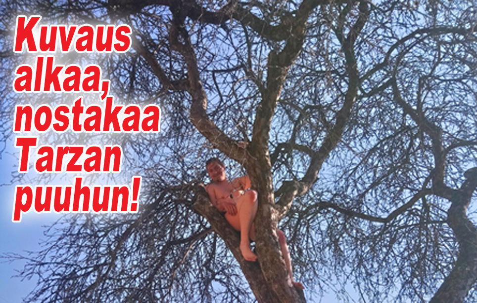 hauskat kuvat