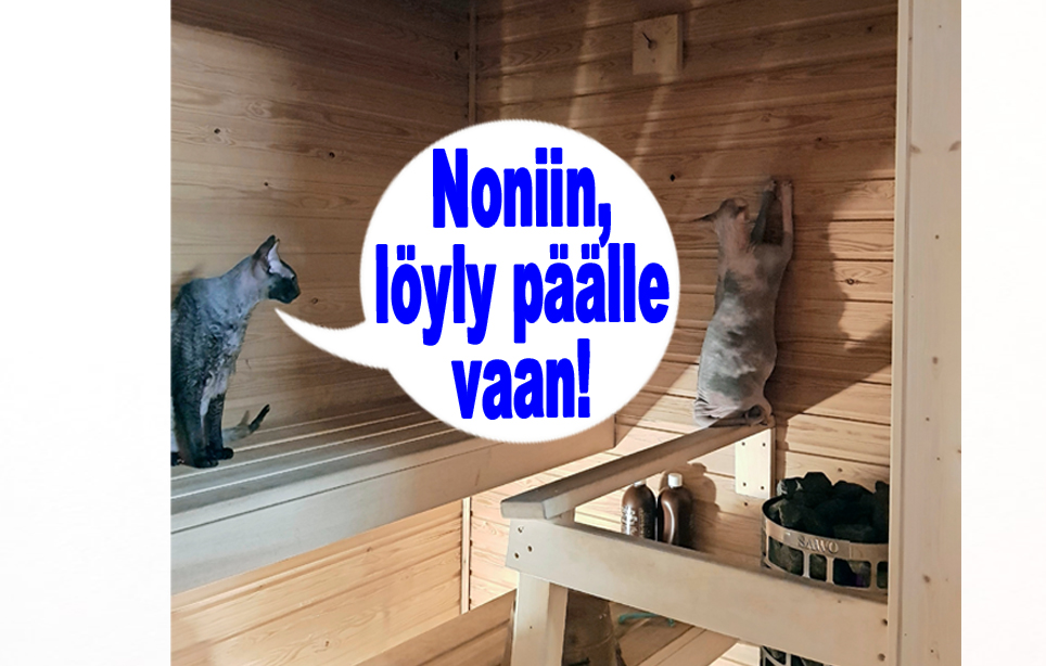 hauskat kuvat