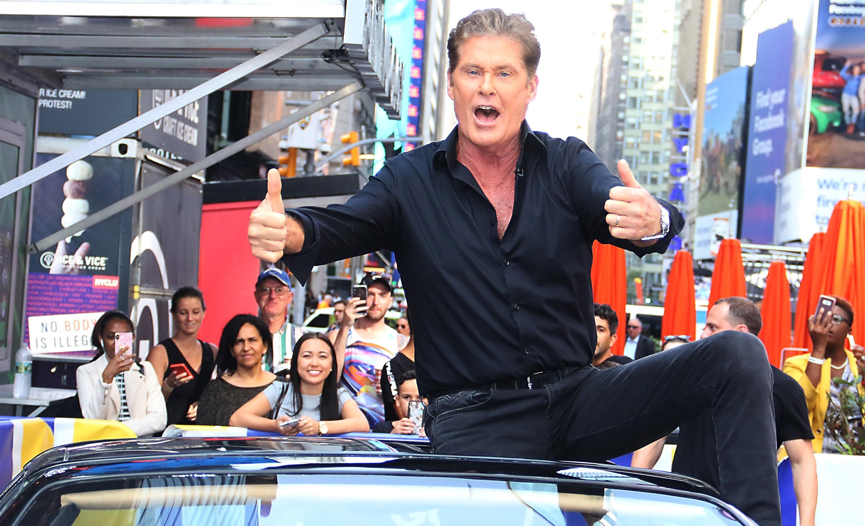 David Hasselhoff David Hasselhoff