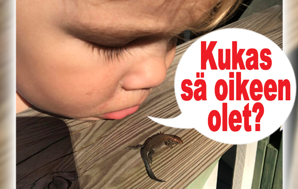 hauskat kuvat
