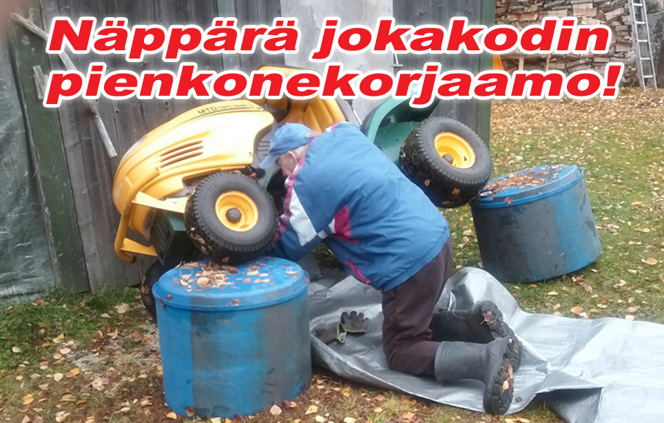 hauskat kuvat