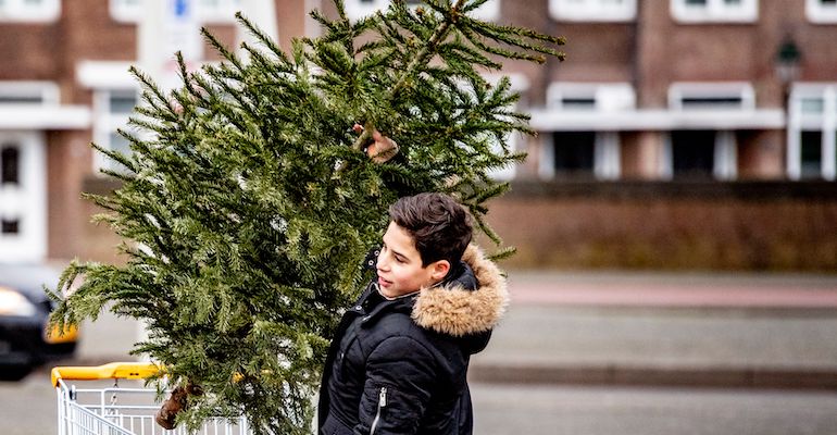 Joulukuusesta voi tuunata ystävänpäiväkuusen. Joulukuusesta voi tuunata ystävänpäiväkuusen.