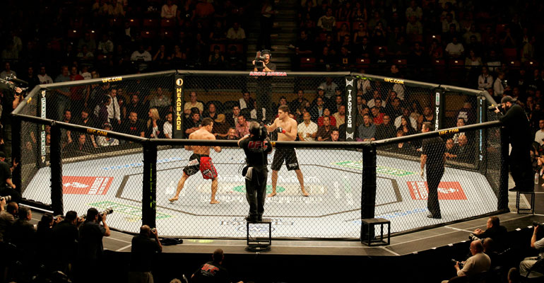 ufc-octagon ufc-octagon