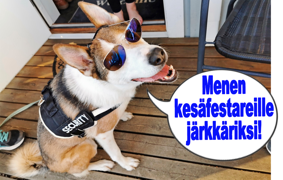 hauskat kuvat