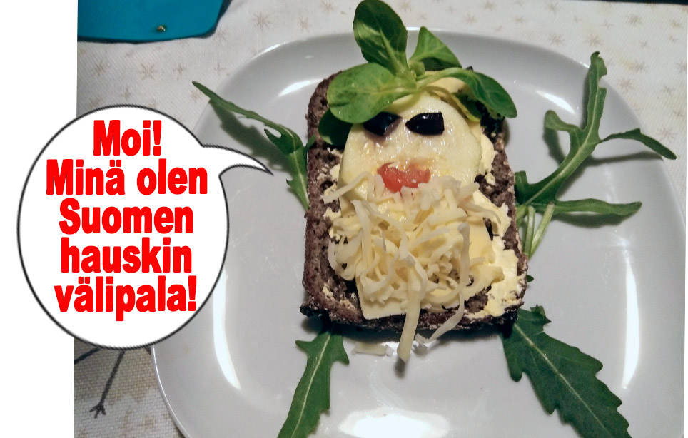 hauskat kuvat
