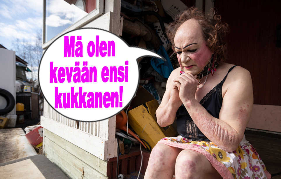 viikon kupla