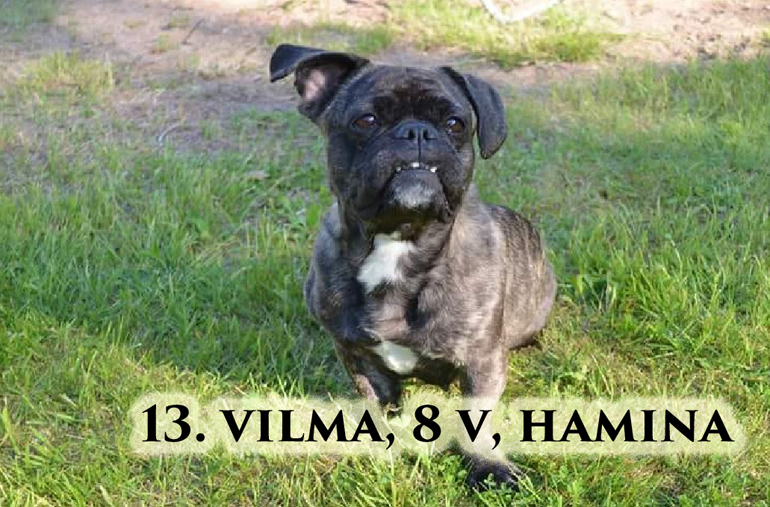 vilma