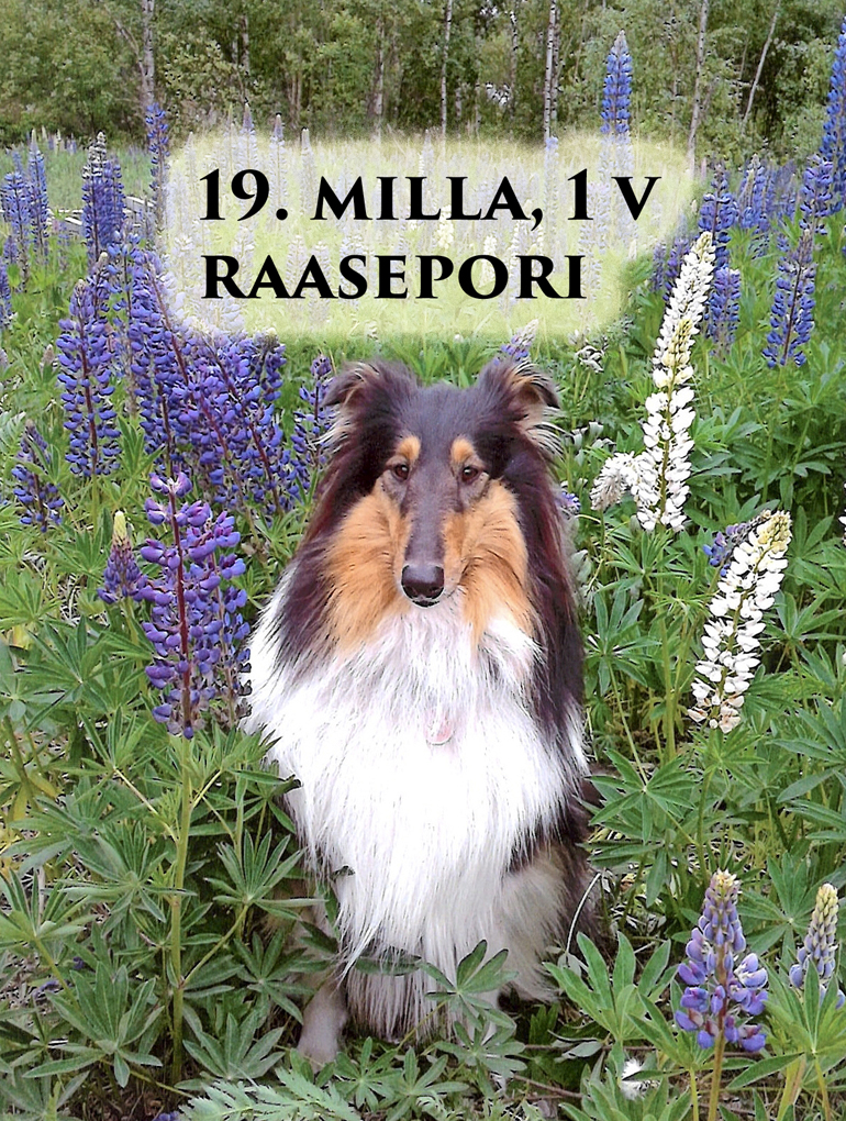 milla