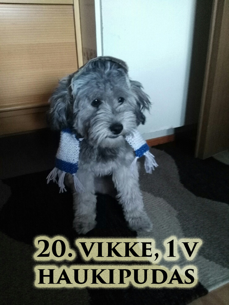 vikke