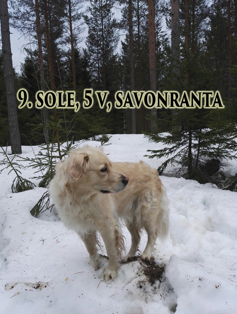 sole