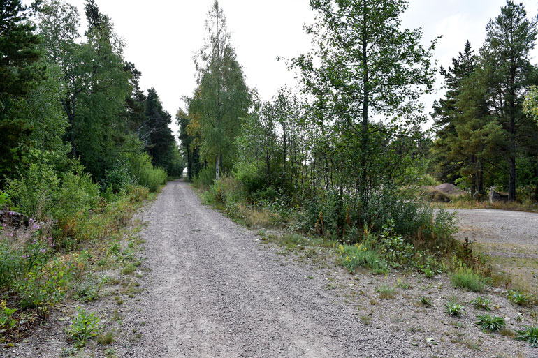 Julkkisten ostamat tontit tulevat tämän tien varteen. Alue on vielä pelkkää ryteikköä.