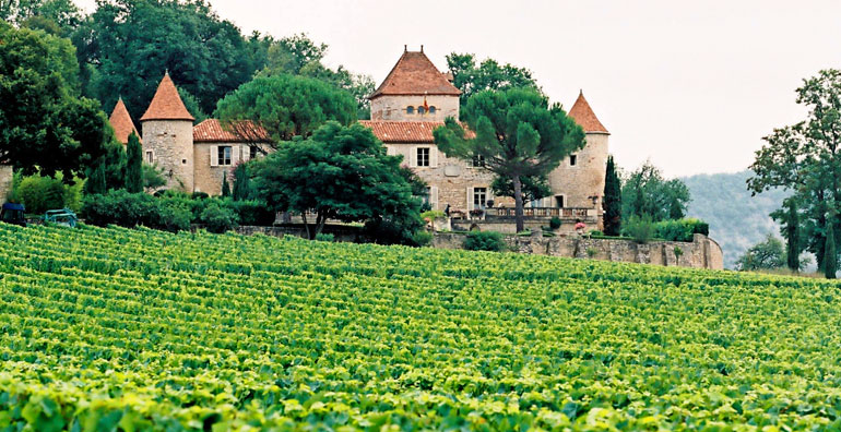 Chateau Cayx