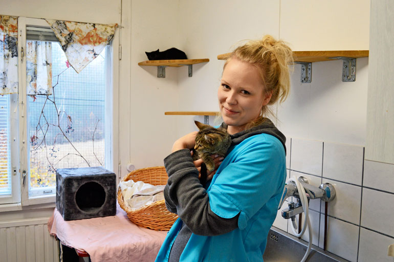 – Me hodiamme aamuvuorot, ja iltaan tulee kaksi muuta. Öisin kissat ovat keskenään, Sini kertoo.