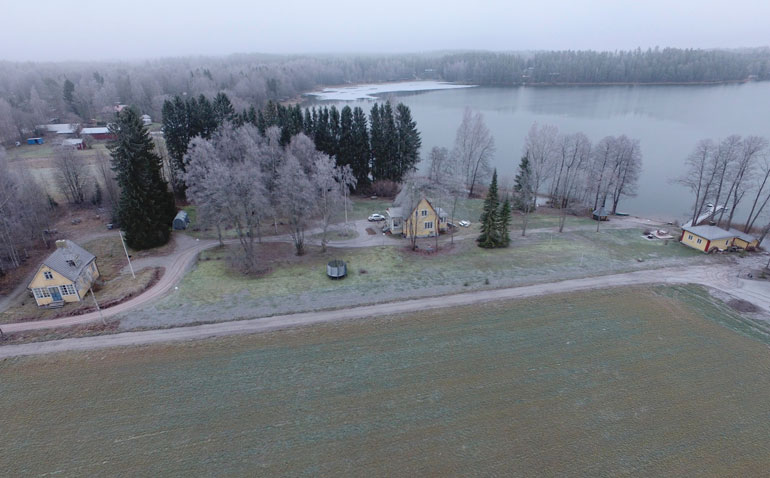 Huvila sijaitsee kivalla rantatontilla. Kaislikosta saattaa nousta komeita haukia.
