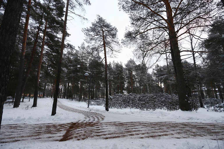 Epäillyt houkuttelivat reilusti alaikäiset uhrinsa mukaansa lupaamalla ostaa heille tupakkaa. Sen sijaan heidät vietiin puistoon, jossa rikokset tapahtuivat.