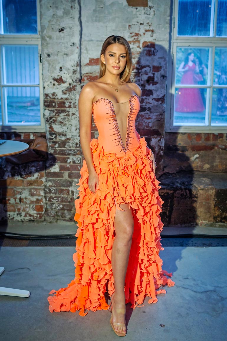 Sara Chafak 2019.