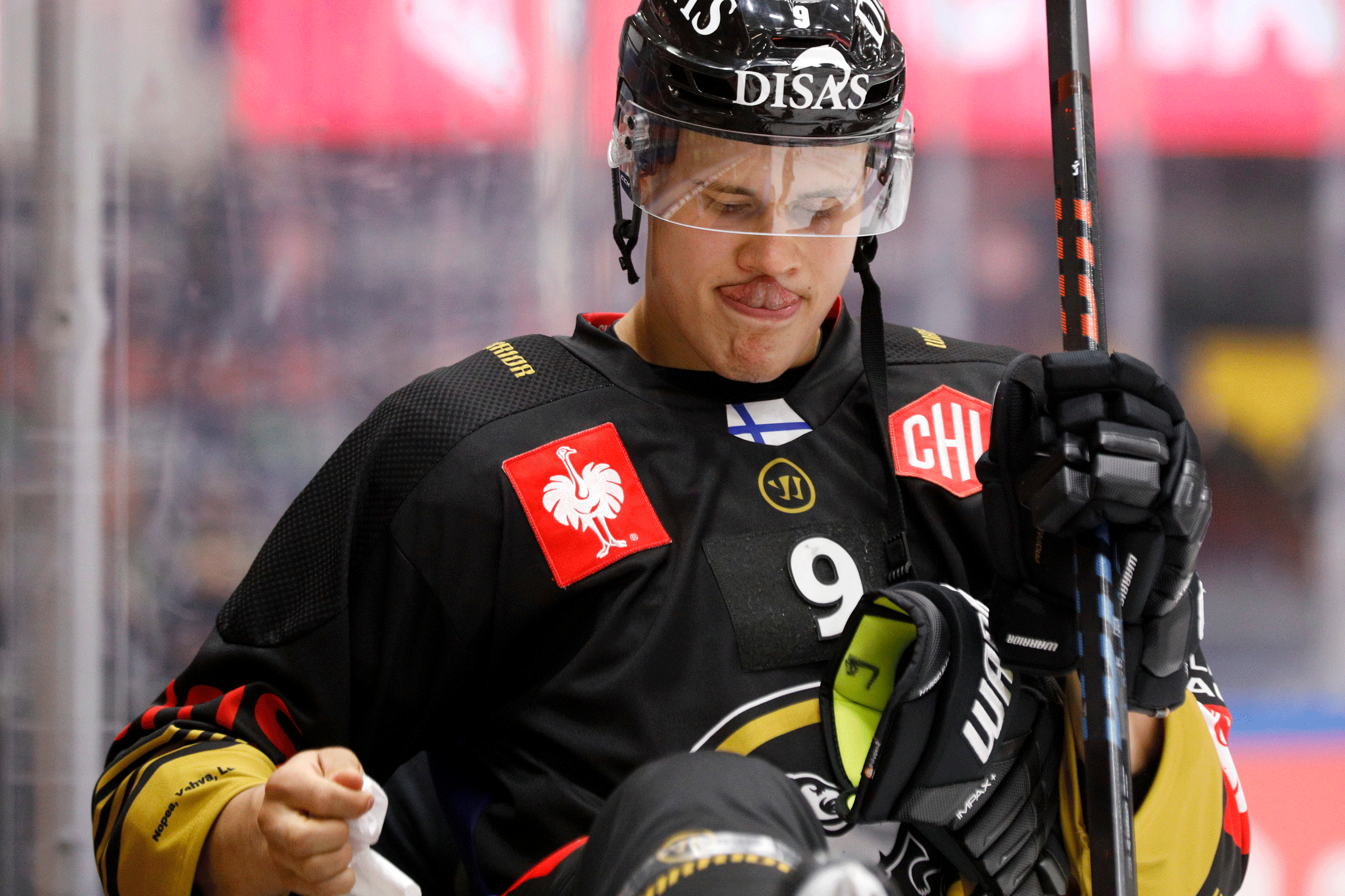 Hyvät naiset ja herrat... Pulju is back.