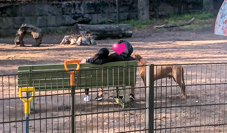 Kun muut koiranulkoiluttajat poistuivat koira-aitauksesta, niin lihaskimppu otti Sadun hellästi kainaloonsa. Kaunotar painoi päänsä luottavaisesti miestä vasten.