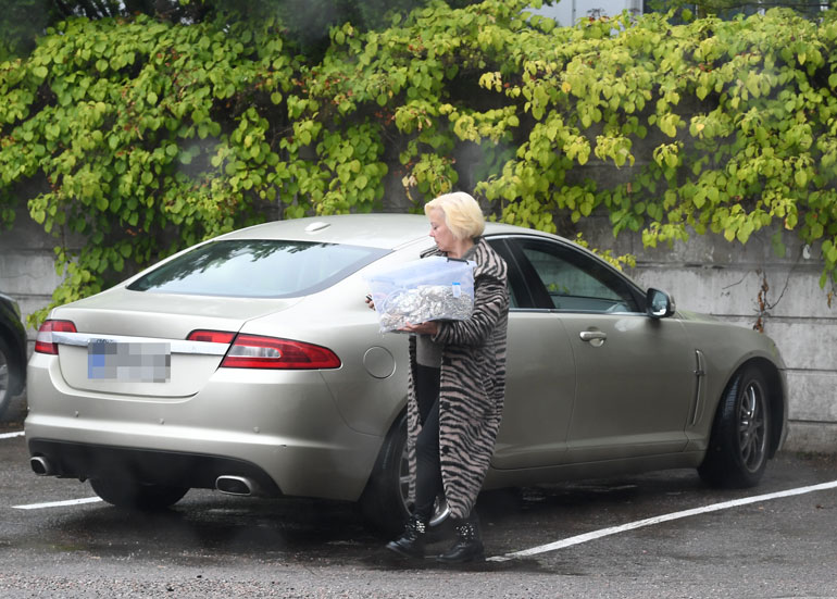 Helena Ahti-Hallbergin auto.