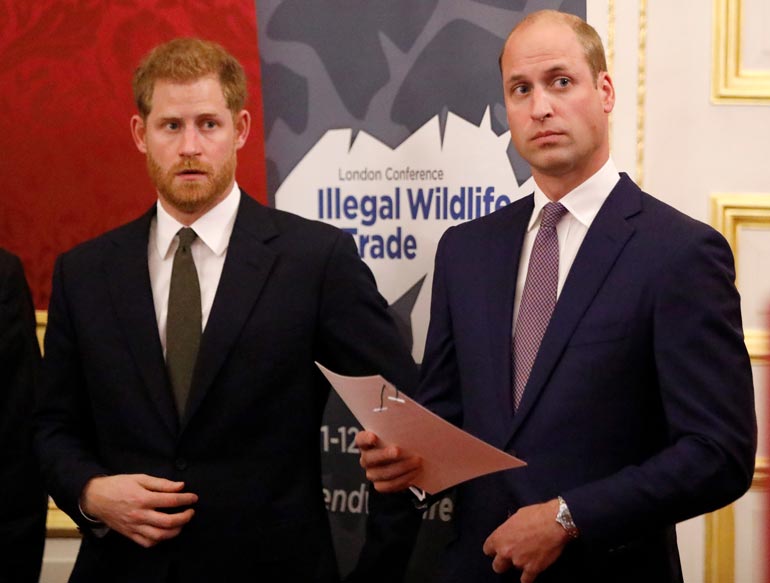 Prinssiveljekset Harry ja William ilmoittivat yhdessä medialle, ettei heidän välillään ole eripuraa.