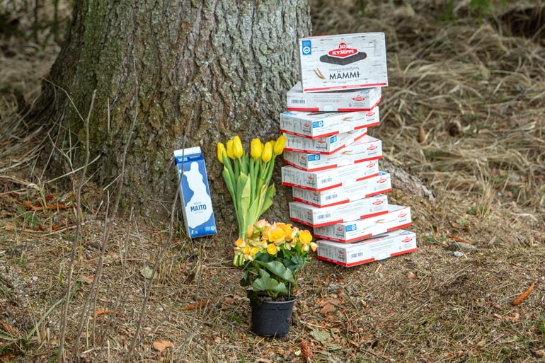 Tässä on Seiskan pääsiäisyllätys Kurikan jätille: 10 kappaletta Kymppimämmejä, tavallista maitoja ja keltaisia kukkia.