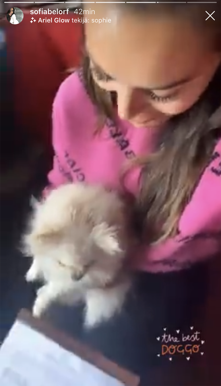 Bambi ja Sofia
