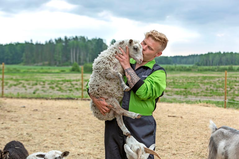 Mira kiiruhtaa Akin luokse aina tämän saavuttua lammasaitaukseen.