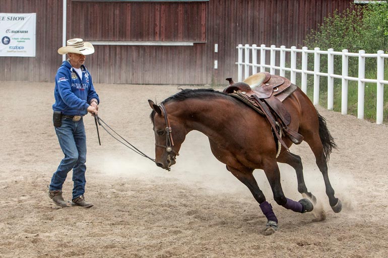 Karin laji on lännenratsastus, jossa kypärän sijasta päässä on stetson ja jaloissa kannustimin varustetut buutsit. – Hevosta ohjataan kannustimilla, ei raipalla.