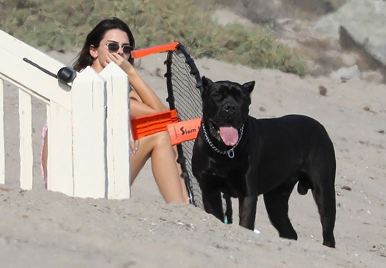 Kendall Jenner