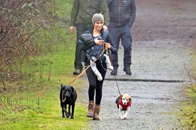 Meghan ulkoilutti poikaa ja koiria Kanadassa.