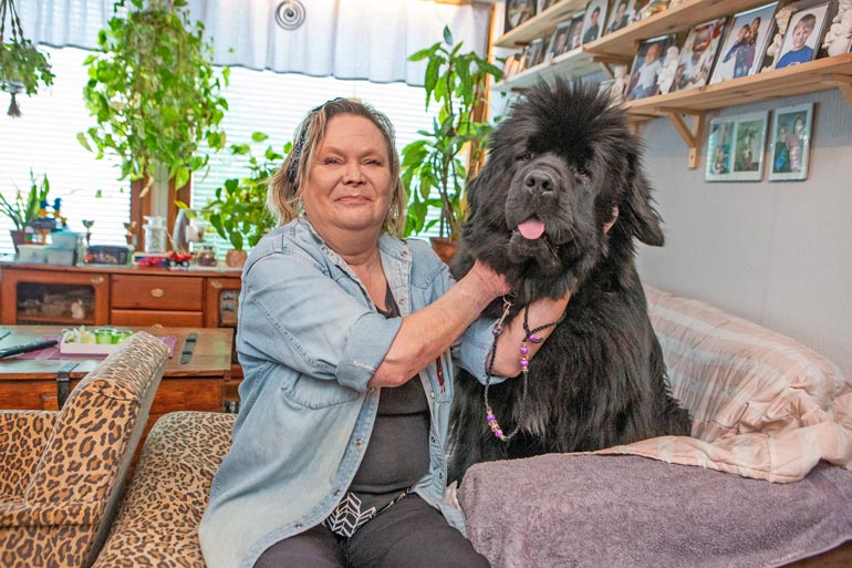 Liisa harjaa koiriaan, ja saksetkin pysyvät käsissä. – On ihmeellistä, miten ihminen tottuu ihan pienilläkin sormentyngillä tekemään tavallisia asioita.