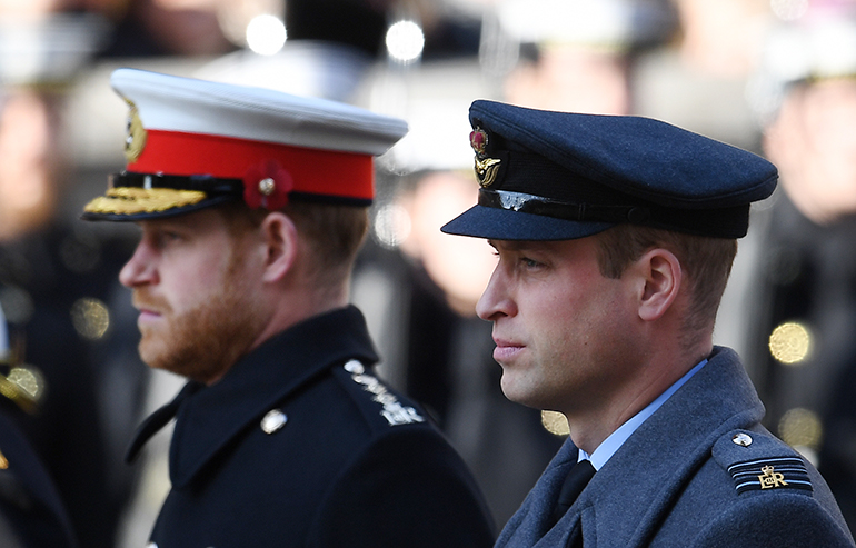Prinssit Harry ja William