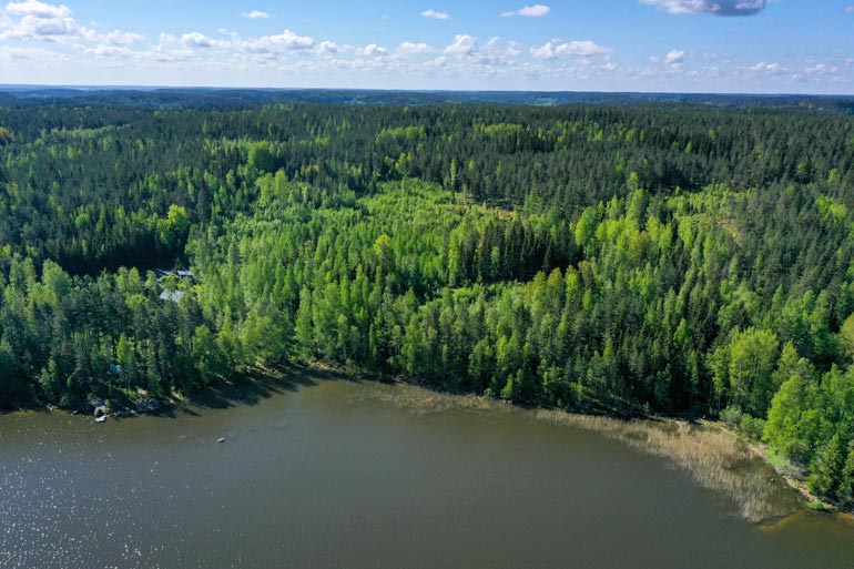 Tuija osti yli 14 hehtaarin metsätontin, jolle ei saa rakentaa.Ilmeisesti hän tekikin hankinnan sijoitusmielessä.