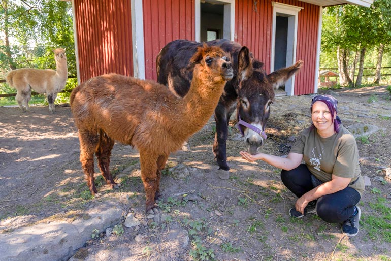 Olipa laji mikä tahansa, henkilökunta hoitaa asiat niin, että seniorieläimillä on lokoisat eläkepäivät.