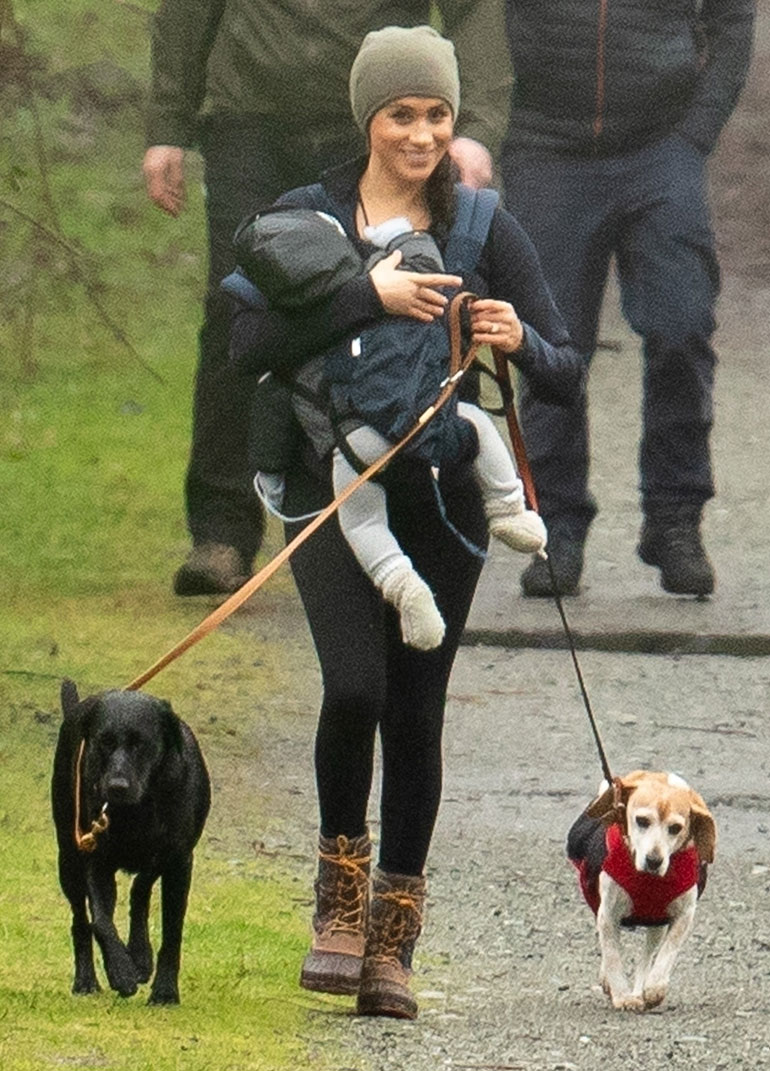Sussexin herttua Meghan, Bogart ja Guy