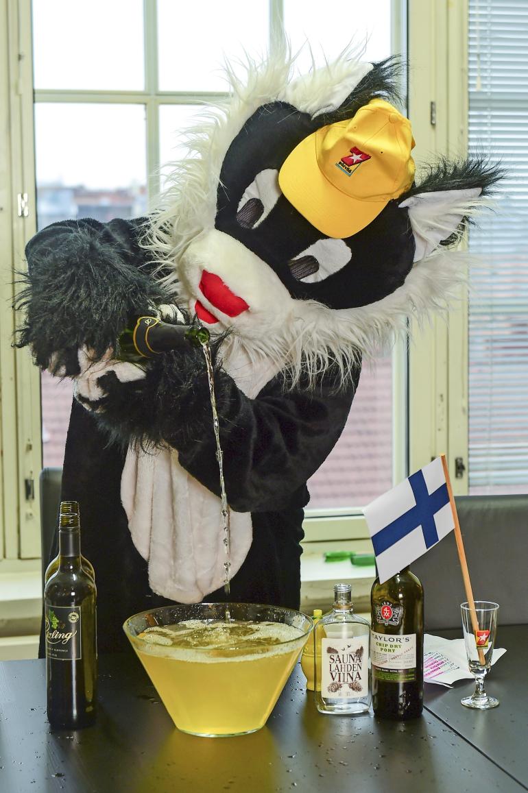 Seiskan Kohukatti
