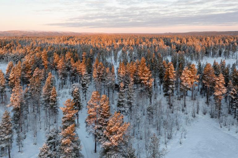 Syytetty väitti olleensa tapahtuma-aikana 300 kilometrin päässä mökillä. Kuvituskuva.