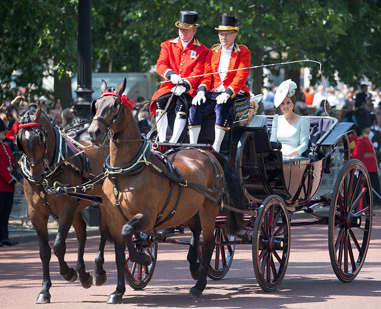 Cambridgen herttuatar Catherine