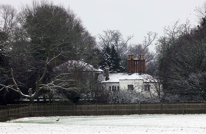 Frogmore Cottage