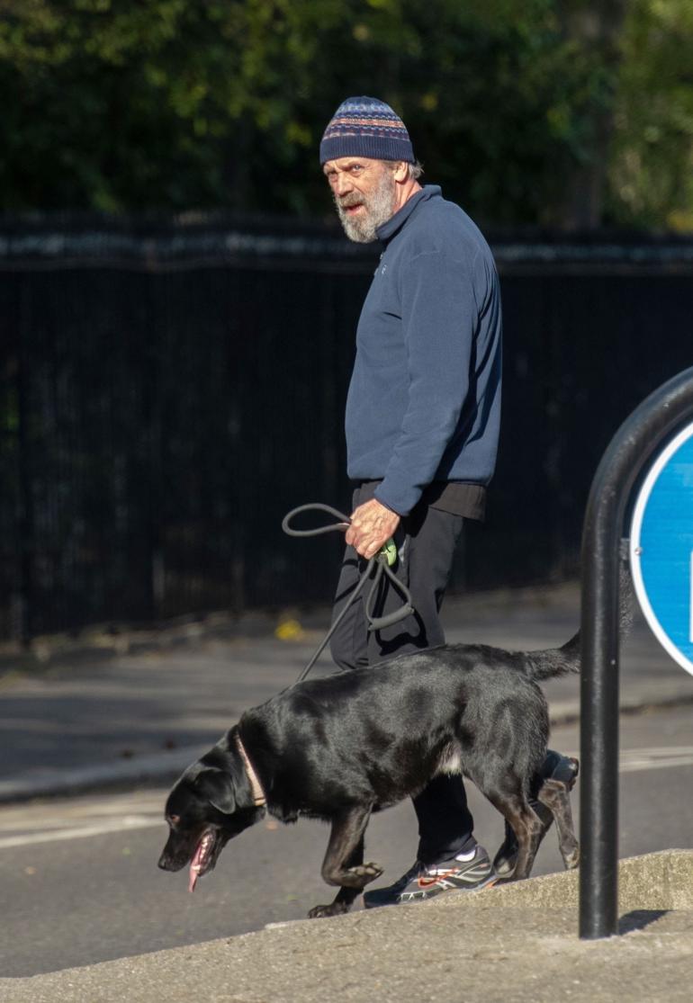 Hugh Laurie