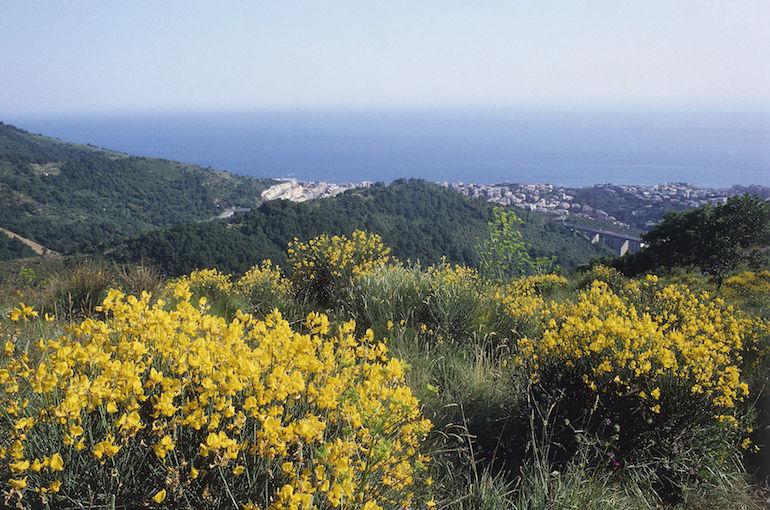 Bormida sijaitsee Ligurian alueella.