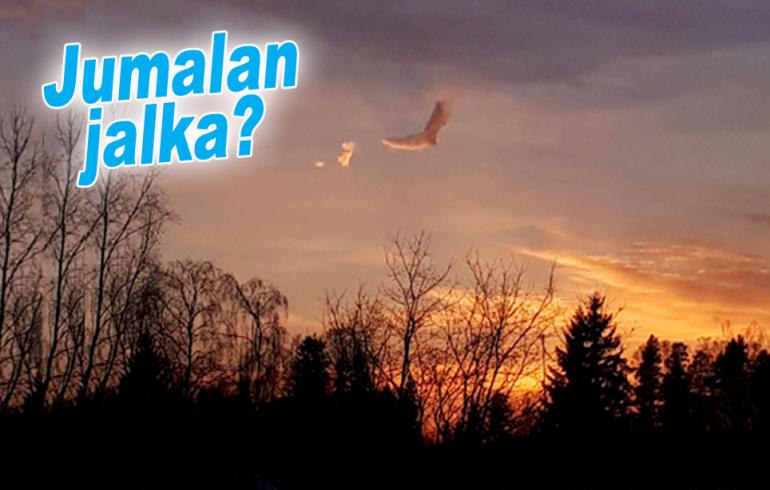 hauskat kuvat