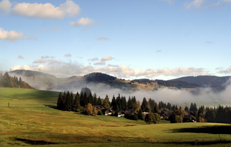 schwarzwald