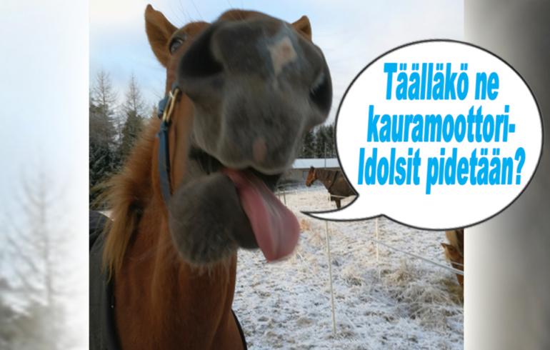 hauskat kuvat