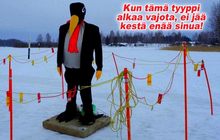 hauskat kuvat