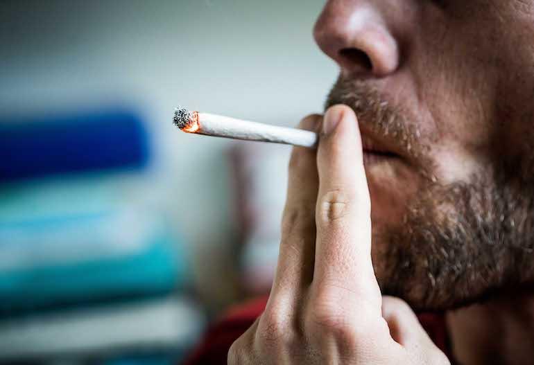 Kannabista tutkittiin jälleen.