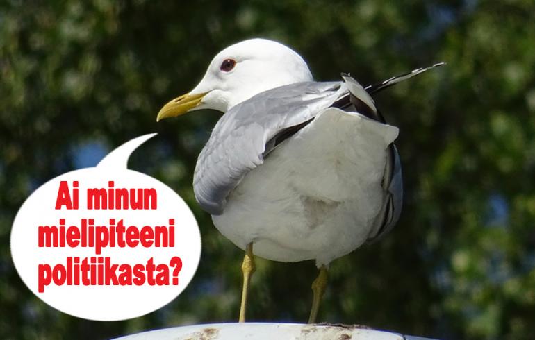 hauskat kuvat, kilpailu